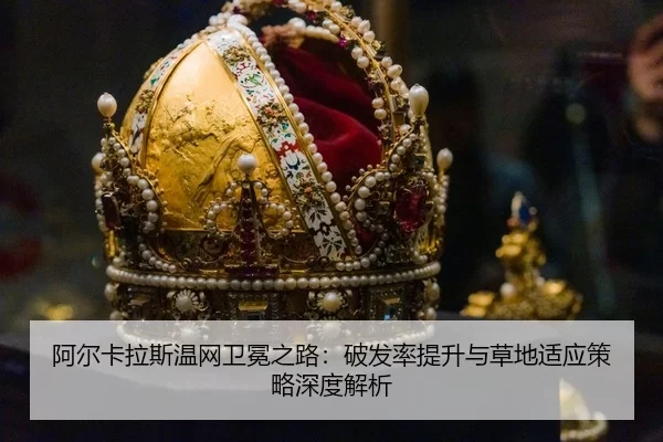 a-er-ka-la-si-wen-wang-wei-mian-zhi-lu-po-fa-lv-ti-sheng-yu-cao-di-shi-ying-ce-lve-shen-du-jie-xi-3-869.jpg